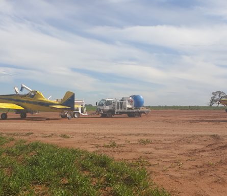 Ground Crew Position for Immediate Start – NSW