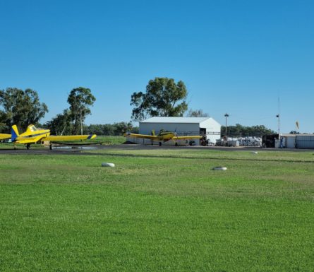 Ground Crew Position for Immediate Start – NSW