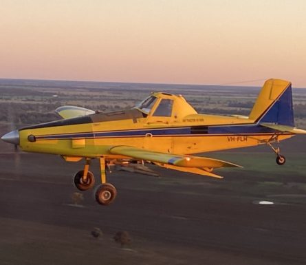 Ground Crew Position for Immediate Start – NSW