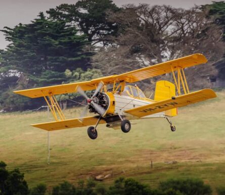 For Sale – Grumman G164B
